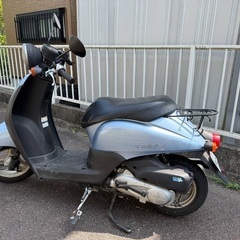 ホンダ　トゥディ　彼らは本当に美しいですの画像