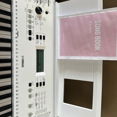 YAMAHA  EZ300　の画像