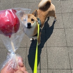 友達募集します