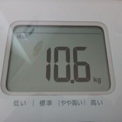 ★エンジンオイル★5W40 MIKADO製の画像