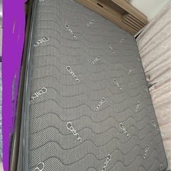 ダブルベット今日引き渡し希望