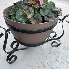 植木鉢の画像