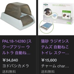 猫　自動トイレの画像