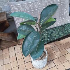 人工観葉植物