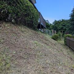 草木伐採庭園メンテナンス