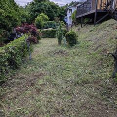 草木伐採庭園メンテナンス - 剪定/造園