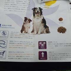 ベッツソリューション/犬用療法食/胃腸サポート/サンプルの画像