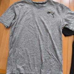 Ｔシャツ３枚と短パンセット