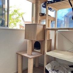 猫　キャットタワー