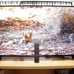 43型 液晶テレビ LE-431T4KT-BK 2021年製 や...