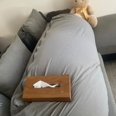 クッション？の画像