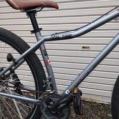 ルイガノ　GARNEAU SOIL 29er　size430 グレーの画像