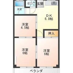 🉐敷礼無料！壁・天井・床すべてリフォーム、ペット可、ファミリータイプ！