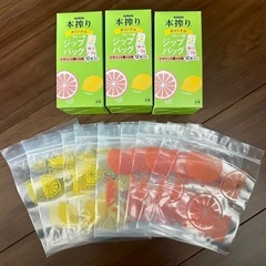 フルーツ柄ジップバッグ未使用