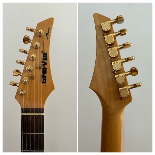 エレガット　Groovin Morris TG-60