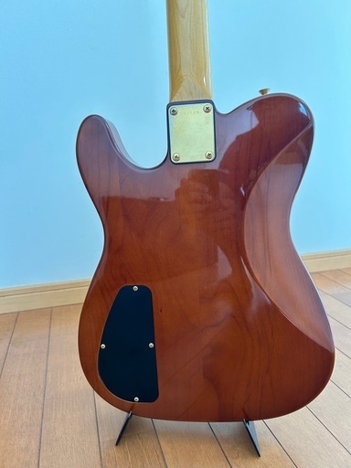 エレガット　Groovin Morris TG-60