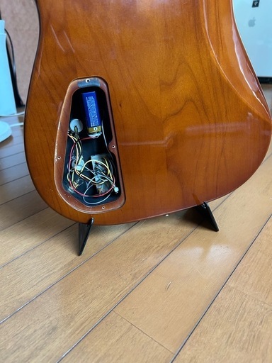 エレガット　Groovin Morris TG-60