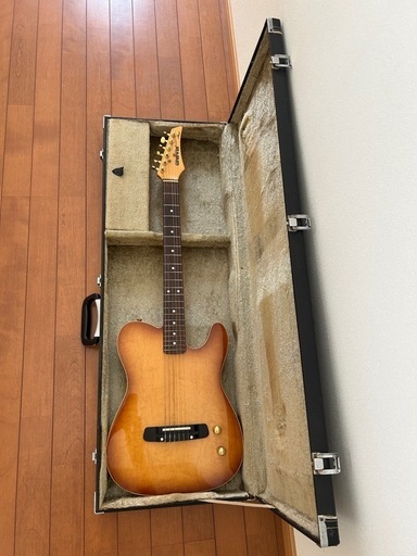 エレガット　Groovin Morris TG-60