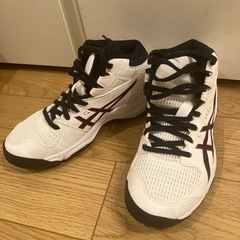 バッシュ21.5