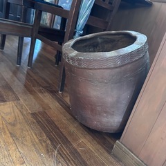 睡蓮鉢　メダカ鉢