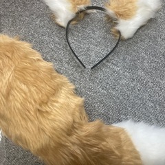 けもみみしっぽセットの画像