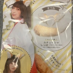 けもみみしっぽセット