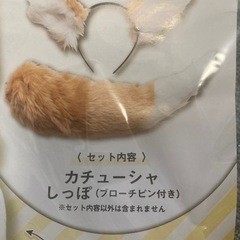 けもみみしっぽセットの画像