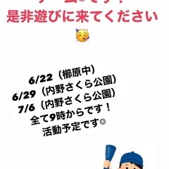 社会人ソフトボールチームです！