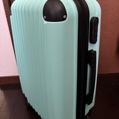 値下げ‼️キャリーケースの画像