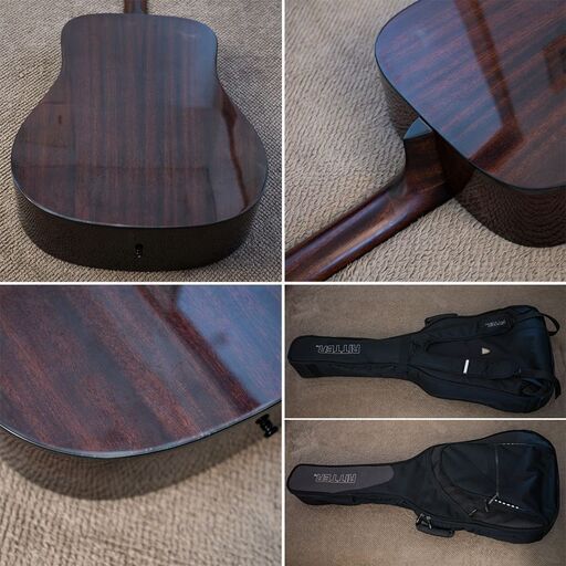 Aria Dreadnought AD-28 RITTERギグバッグ