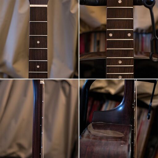 Aria Dreadnought AD-28 RITTERギグバッグ