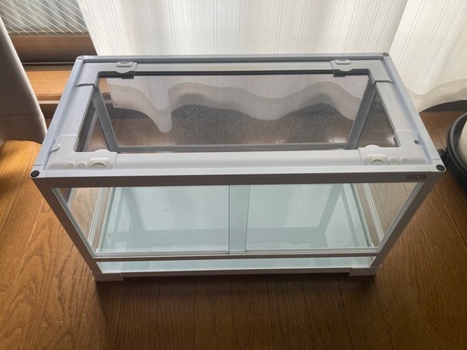 パンテオン　6035