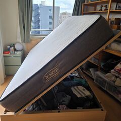 ニトリのダブルフレームベッド (OP KG フラット 横開き 深型 MBR) の画像