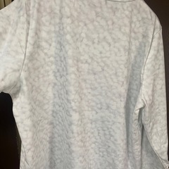 トレ-ナの画像