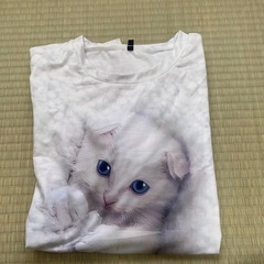 トレ-ナの画像