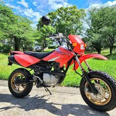 最終型!!【HONDA XR100】モタード/ホンダ