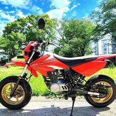 最終型!!【HONDA XR100】モタード/ホンダの画像