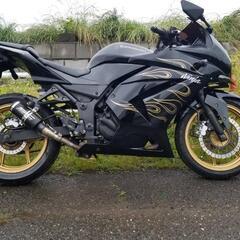 動画有　カワサキ　Kawasaki　ニンジャ　Ninja 250...
