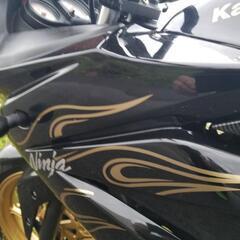 動画有　カワサキ　Kawasaki　ニンジャ　Ninja 250R　EX　250　実働　週末引取り対応！　現車確認大歓迎♪の画像