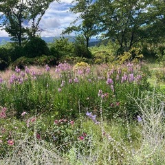 癒しの空間を💐