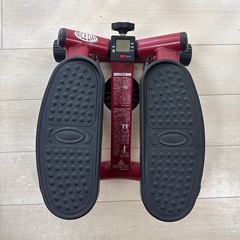 ナイスデイ ステッパー
