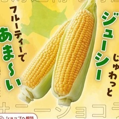 世界一で一番甘いトウモロコシ🌽