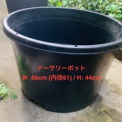 大型　プラスチック製　ナーサリーポット