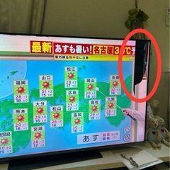 TOSHIBA REGZA 4K 液晶テレビ43