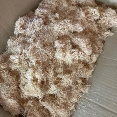 竹の削り節