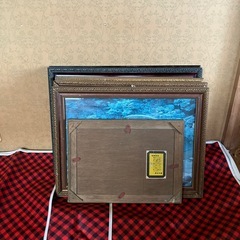 額6コ