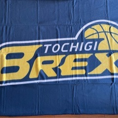 決定！【未使用】栃木ブレックス フリースブランケット　GO BREX！