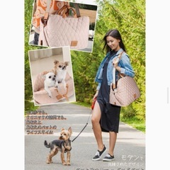 セール中　犬 猫 ペットキャリーバッグ お散歩バッグ スリング 移動可能の画像