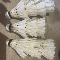 【予定者確定済み】バドミントンセットの画像