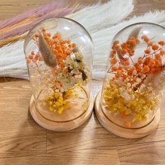 ーお取引中ープリザーブドフラワー　ドーム　オレンジ　美品の画像